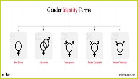 Understanding Gender Identity: The Case Of Brittney Griner's Biological Sex
